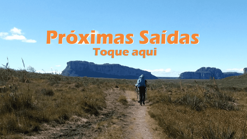 proximassaidas